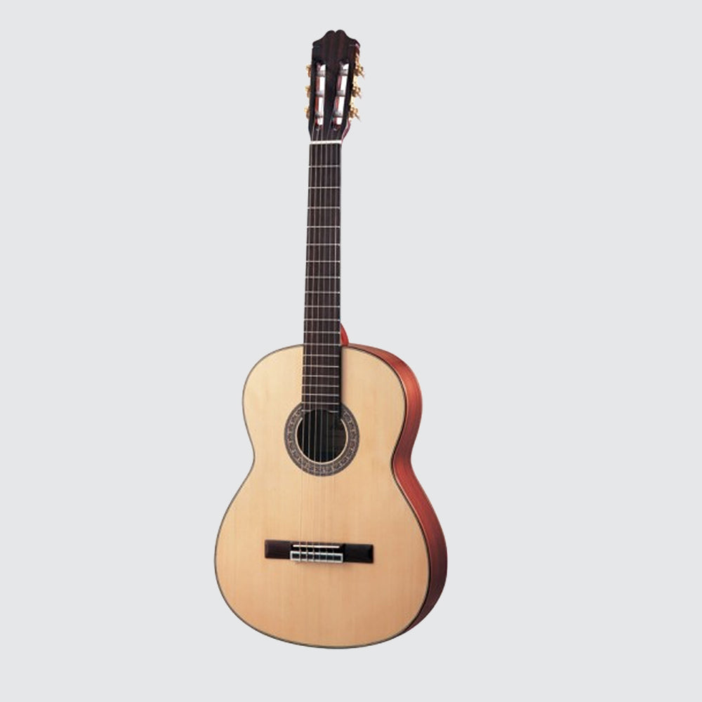 Guitar Acoustic GT-20
