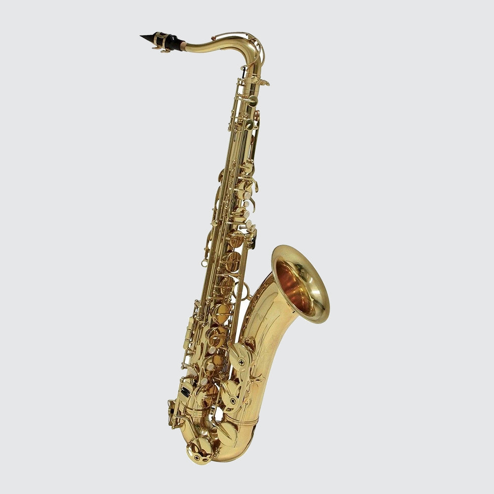 Saxophone Selme ES651