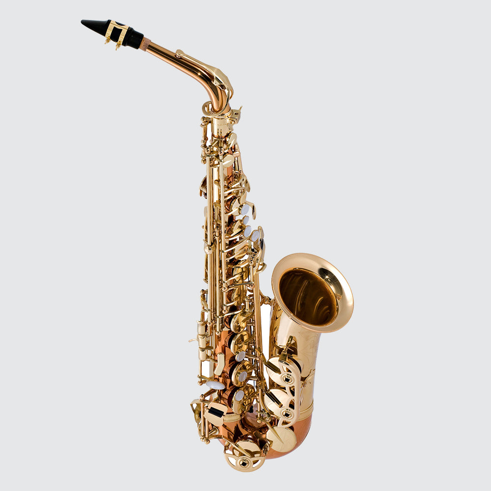 Saxophone Selme TS650